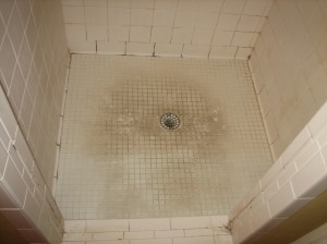 Before-Original Shower Tile